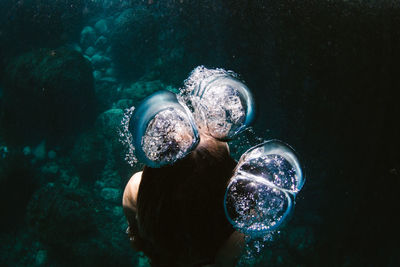 Close-up of jellyfish swimming underwater