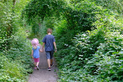 Rear view of siblings holding hands while walking on footpath