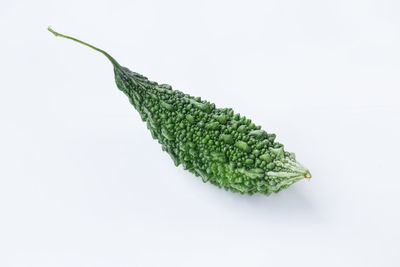 Close-up of leaf over white background