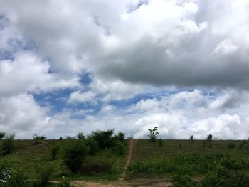 Trees on field against sky