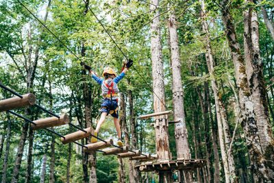 Man climbing on tree in forest