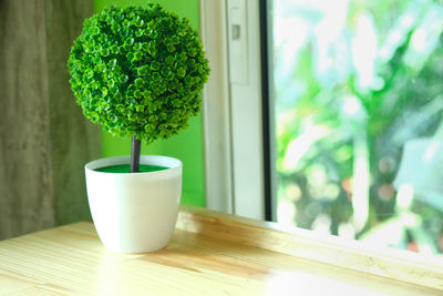 Close-up of potted plant on table