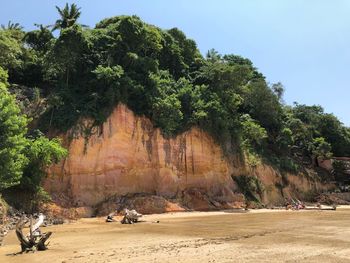 People on beach by trees against sky