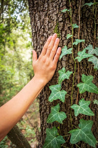 Midsection of woman hand on tree trunk