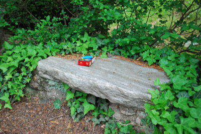 High angle view of toy car on tree