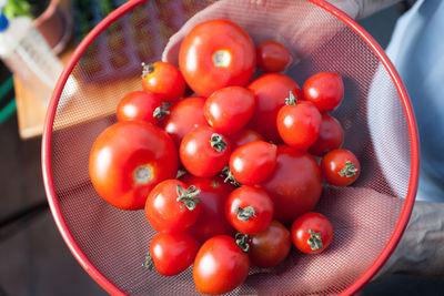 High angle view of tomatoes in basket