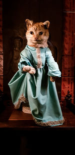 Portrait of dog standing against wall