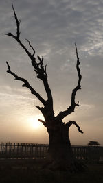 Silhouette bare tree against sky during sunset