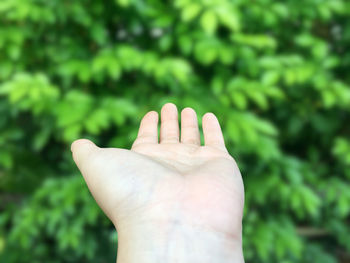 Close-up of human hand