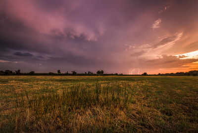 Scenic view of field against sky during sunset