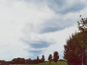 Low angle view of trees against sky