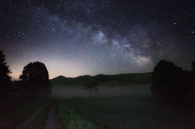 Scenics view of dirt road with trees and grass against sky with stars