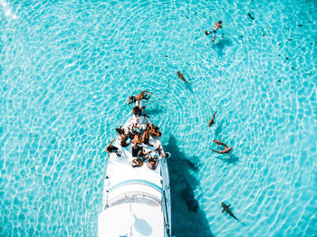 High angle view of people swimming in pool