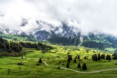 environment