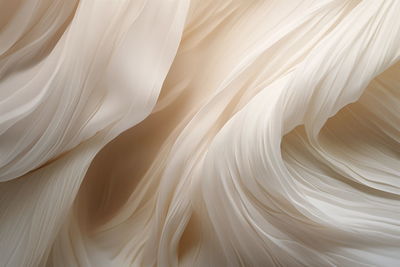 Full frame shot of feather