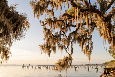 Scenic view of river against clear sky