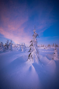 Snow covered landscape against sky