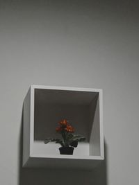 Directly above shot of potted plant against white wall