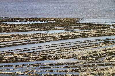 High angle view of wet beach