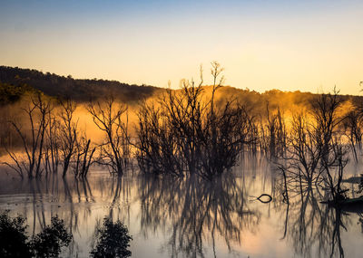 Silhouette plants by lake against sky during sunset