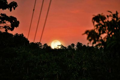 Silhouette trees against sky during sunset