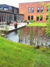 Pond with buildings in background