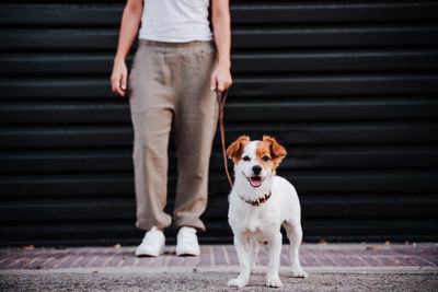 Young woman outdoors wearing protective mask, cute jack russell dog besides. new normal concept