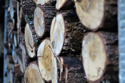 Stack of logs