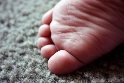 Cropped image of baby foot on rug