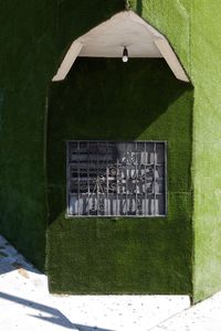 grass