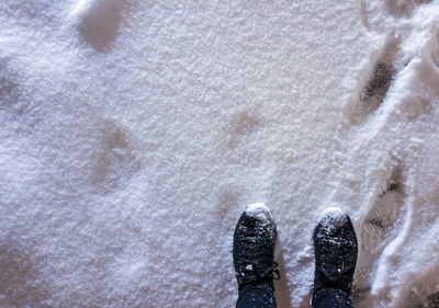 Low section of person standing on snow