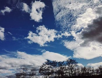 Low angle view of trees against cloudy sky