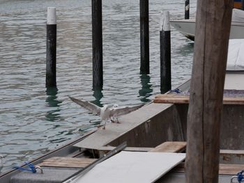 High angle view of bird perching on wooden post in lake