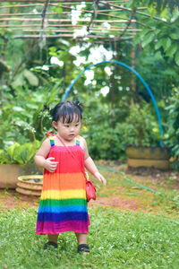 Portrait of boy standing against plants