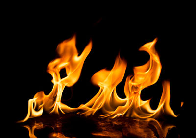Close-up of bonfire at night
