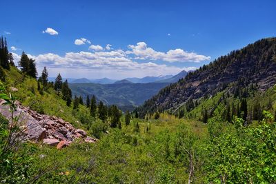 mountain