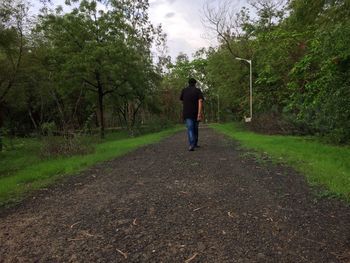 Rear view of man walking on road in forest