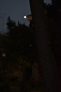 Low angle view of illuminated street light at night