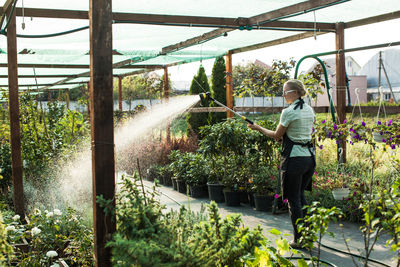 Woman standing by potted plants at greenhouse