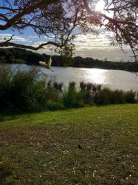 Scenic view of lake against sky