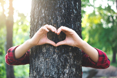 Midsection of person holding tree trunk against plants