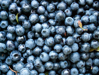 Full frame shot of blueberries