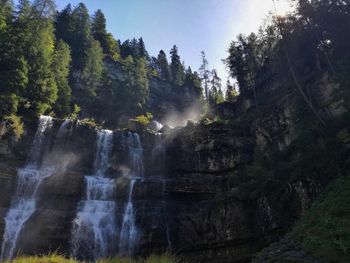 Low angle view of waterfall in forest