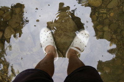 Low section of person standing by lake