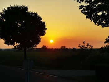 Silhouette trees on field against sky during sunset