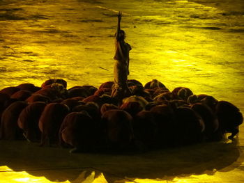 People standing in water against sky