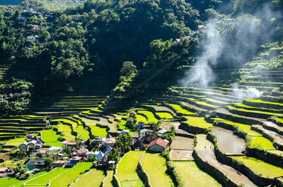 High angle view of agricultural field