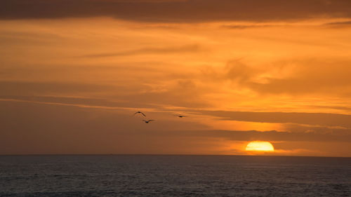 Scenic view of sunset over sea