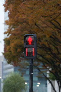 Road traffic lights in japan