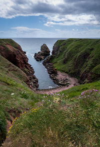 Sea inlet with dramatic cliffs